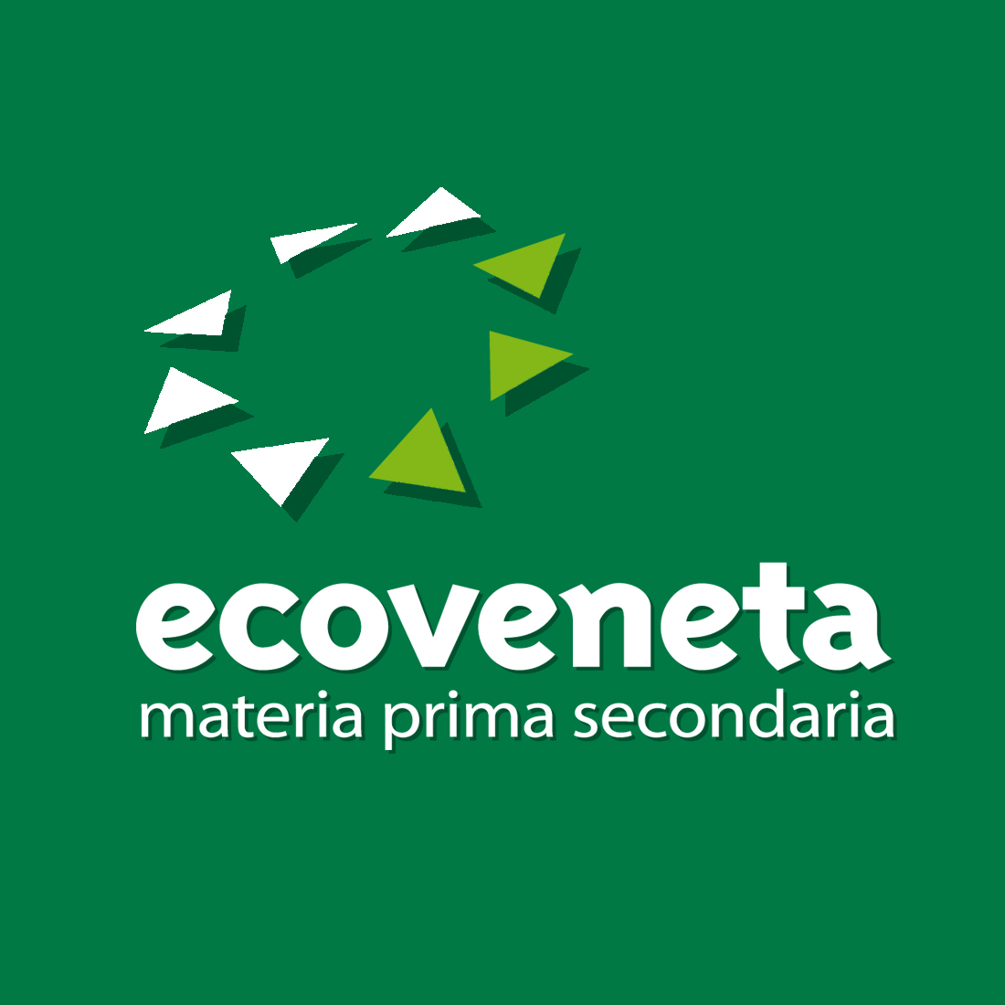 Eco Veneta: immagine 5
