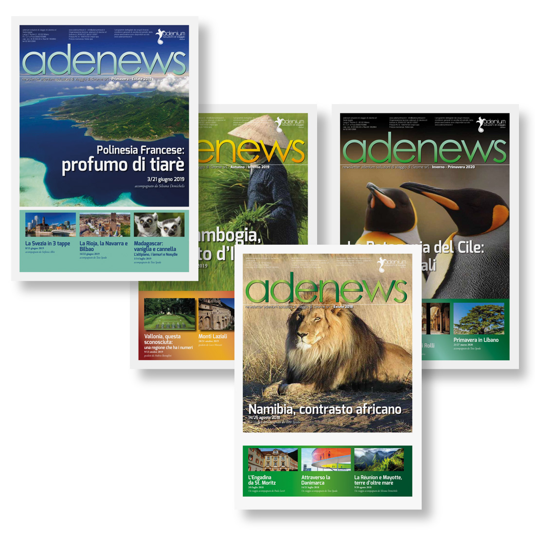 Adenium Travel Corporate Identity